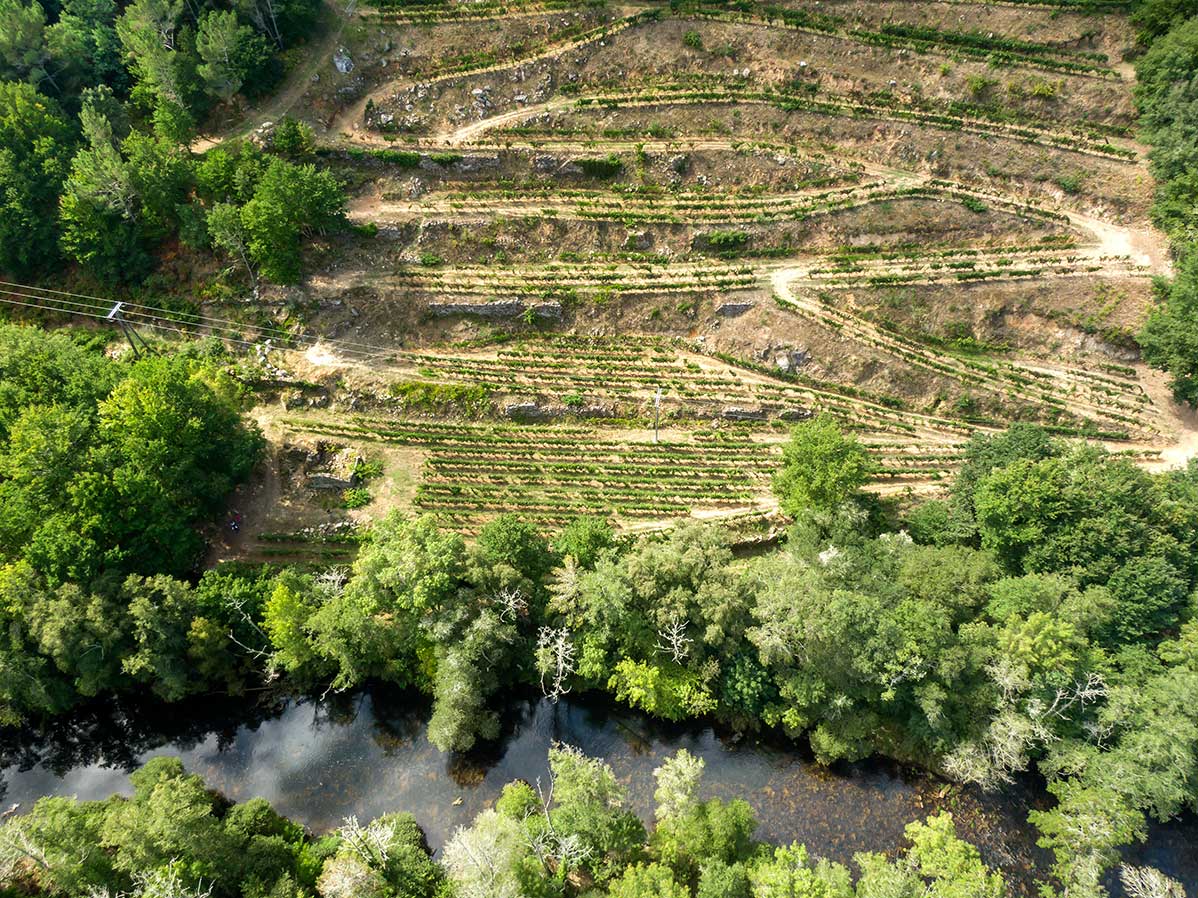 biodiversidad