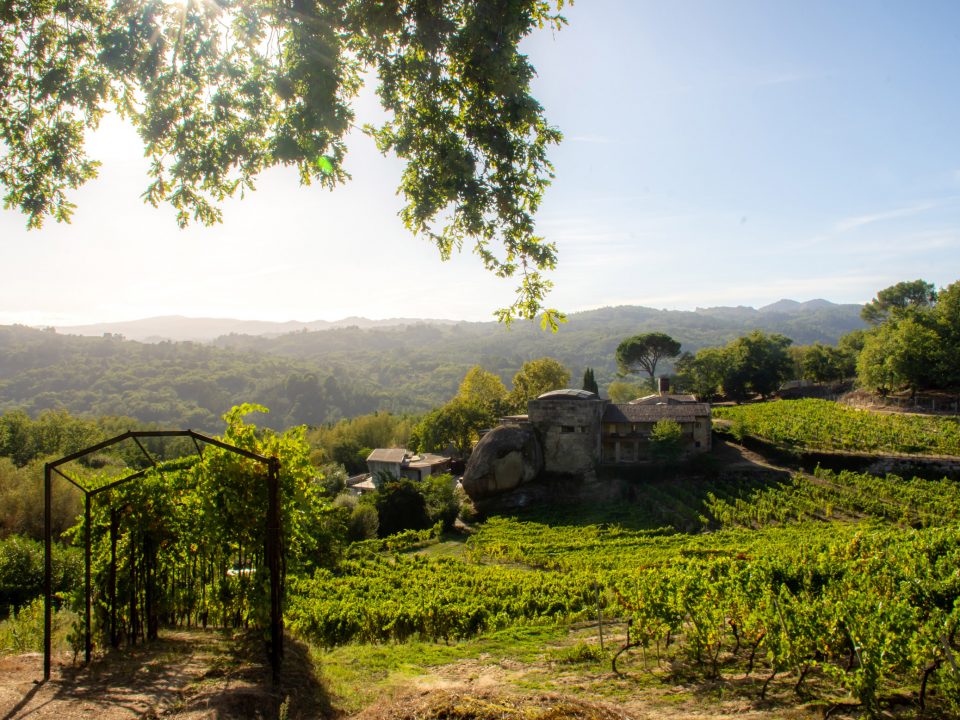 Meín: naturaleza y paisaje