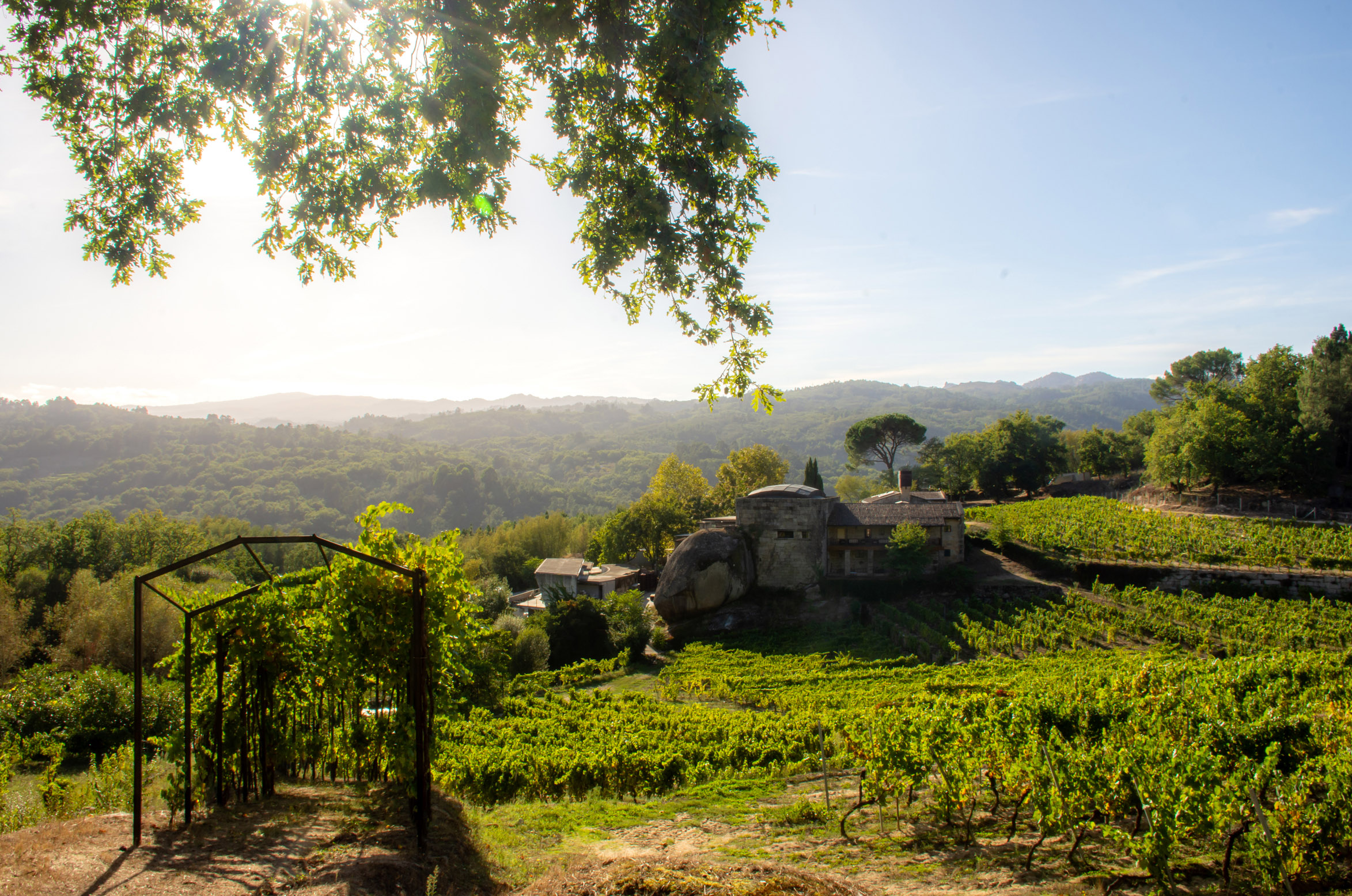 Meín: naturaleza y paisaje