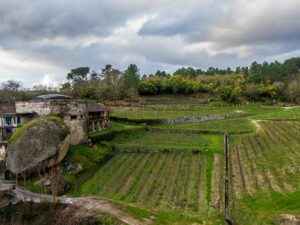 El penedo junto a la bodega de Meín