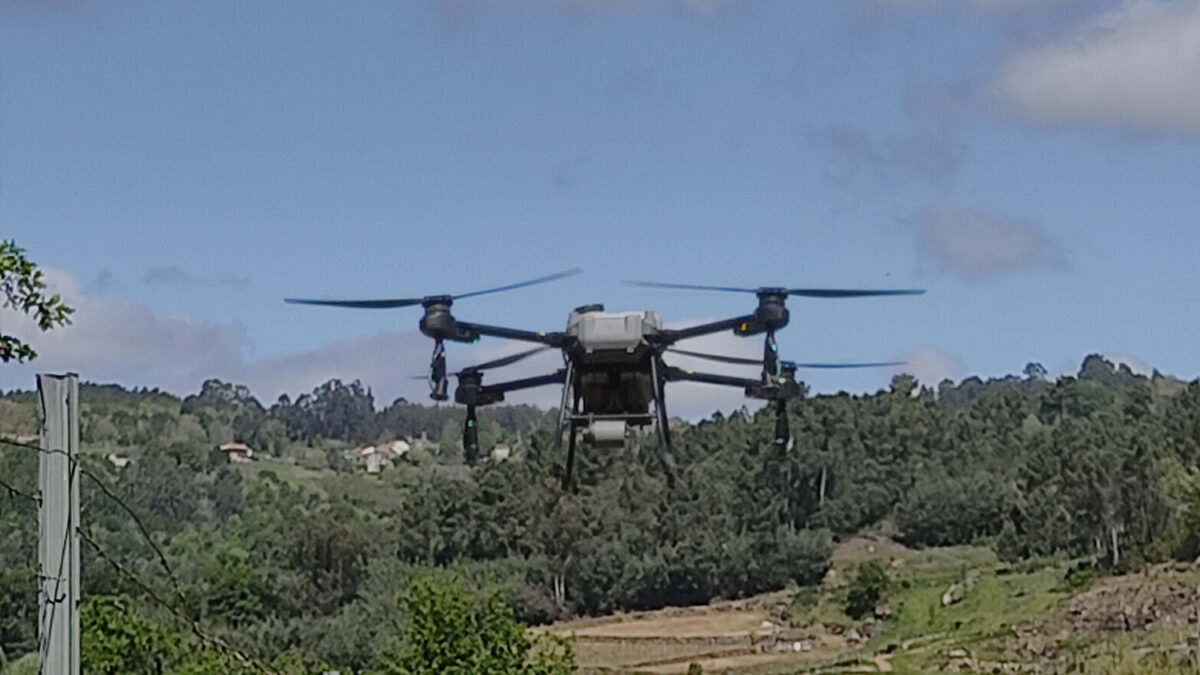 dron en viñedo