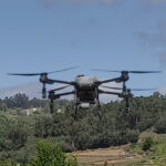 dron en viñedo