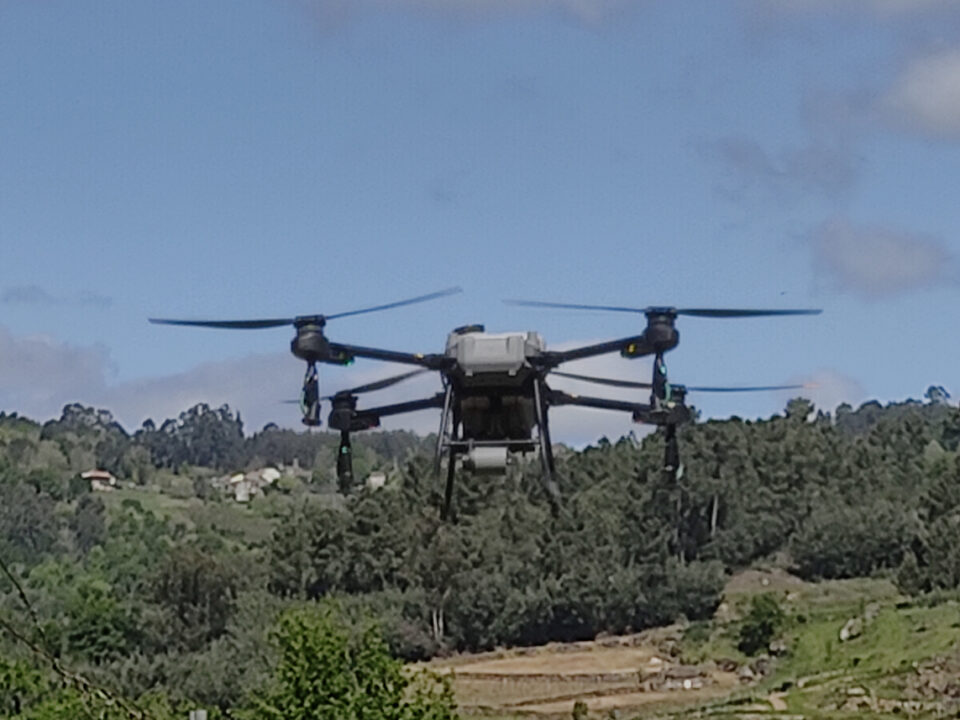 dron en viñedo