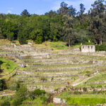 Vertical Emilio Rojo